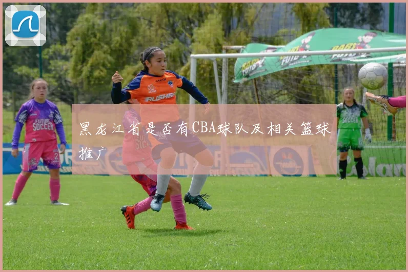 黑龙江省是否有CBA球队及相关篮球推广