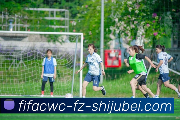 世界杯直播品牌故事